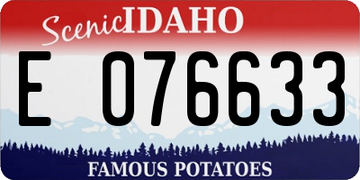 ID license plate E076633