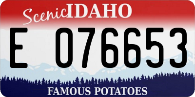 ID license plate E076653