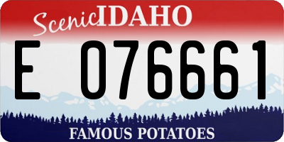 ID license plate E076661