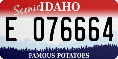 ID license plate E076664