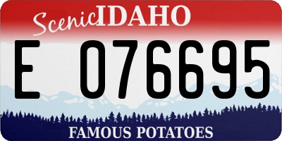 ID license plate E076695
