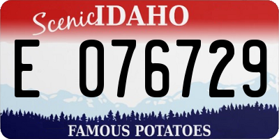 ID license plate E076729