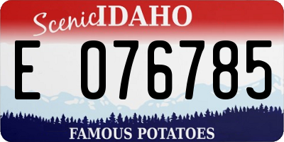 ID license plate E076785