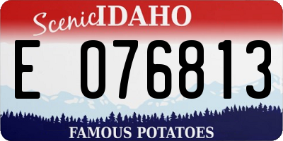 ID license plate E076813