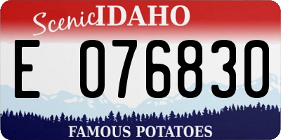 ID license plate E076830