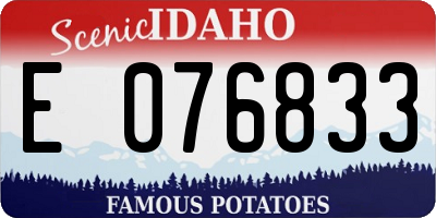 ID license plate E076833