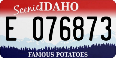 ID license plate E076873