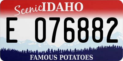 ID license plate E076882