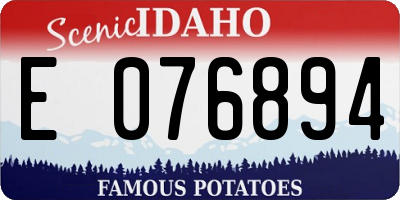 ID license plate E076894