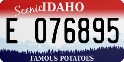 ID license plate E076895
