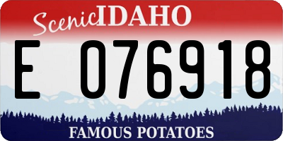 ID license plate E076918
