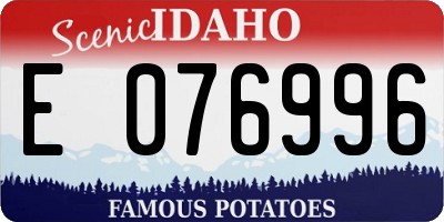 ID license plate E076996