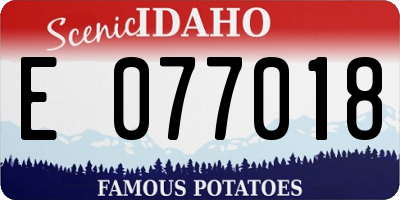 ID license plate E077018