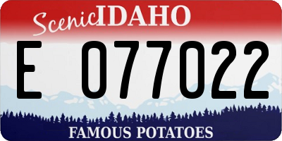 ID license plate E077022