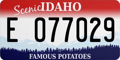 ID license plate E077029