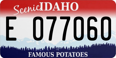ID license plate E077060