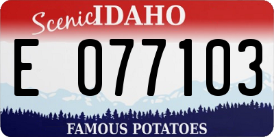 ID license plate E077103