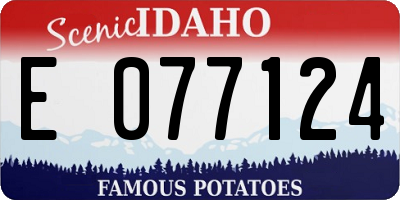 ID license plate E077124
