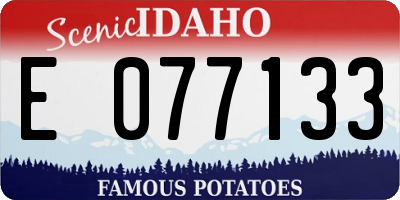 ID license plate E077133