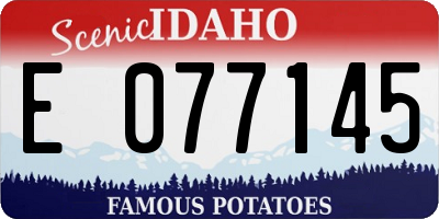 ID license plate E077145
