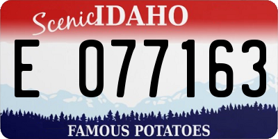 ID license plate E077163
