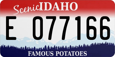 ID license plate E077166