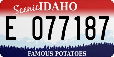 ID license plate E077187