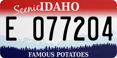 ID license plate E077204