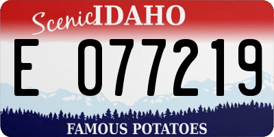 ID license plate E077219