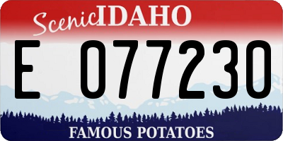 ID license plate E077230