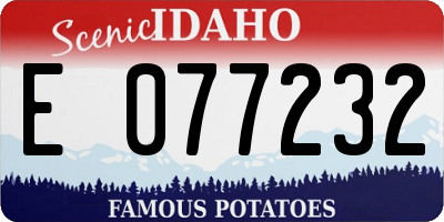 ID license plate E077232