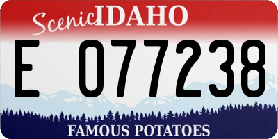 ID license plate E077238
