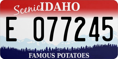ID license plate E077245