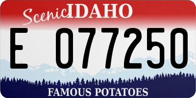 ID license plate E077250