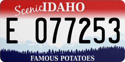 ID license plate E077253
