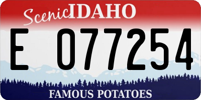 ID license plate E077254