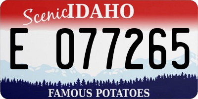 ID license plate E077265