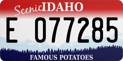 ID license plate E077285