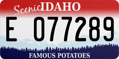 ID license plate E077289