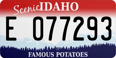 ID license plate E077293