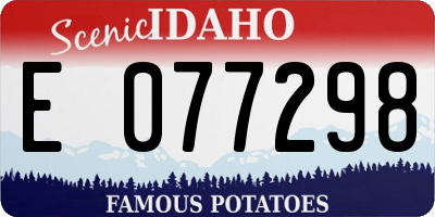 ID license plate E077298