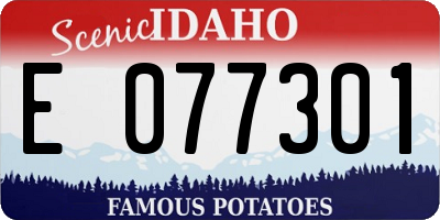 ID license plate E077301