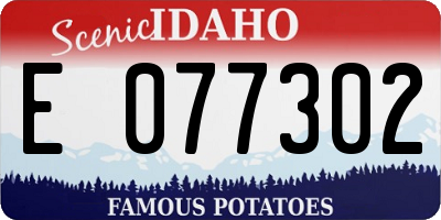 ID license plate E077302