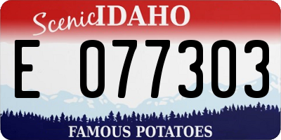 ID license plate E077303
