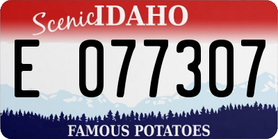 ID license plate E077307