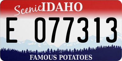ID license plate E077313