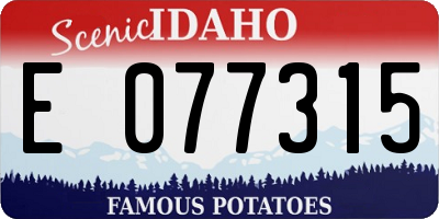 ID license plate E077315