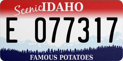 ID license plate E077317