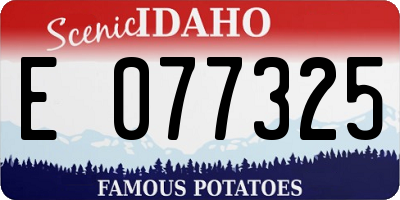 ID license plate E077325