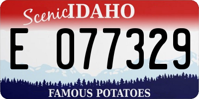 ID license plate E077329